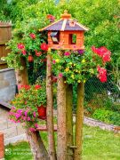 Prodej domu v obci Taneček, Českolipsko. Prodej domu v obci Taneček, Českolipsko.