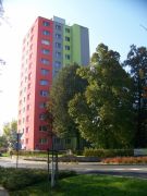 Pronájem 1+1 Česká Lípa, centrum města. Dlouhodobý pronájem